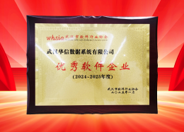 喜讯丨九五至尊官网 九五数据获评2024~2025年度武汉市软件行业&ldquo;优秀企业&rdquo;、&ldquo;优秀工作者&rdquo;荣誉称号！